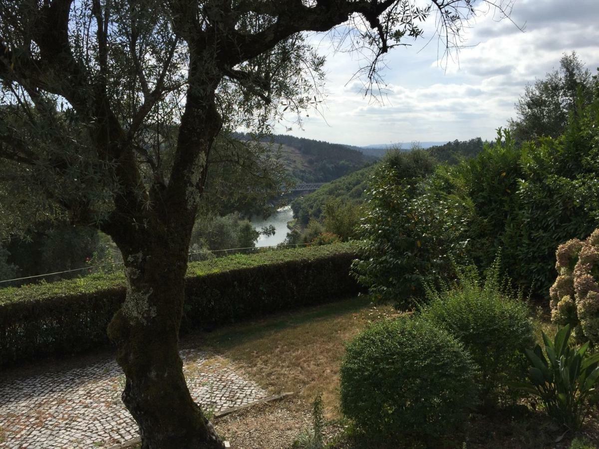 Quinta de Santa Maria do Dao Santa Comba Dao Exterior foto